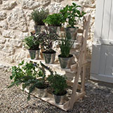 Wooden Plant Theatre